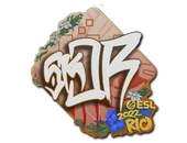 Sticker | sk0R | Rio 2022 image