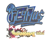 Sticker | FL4MUS (Holo) | Shanghai 2024 image