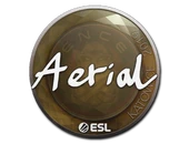 Sticker | Aerial | Katowice 2019 image