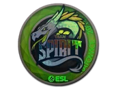 Sticker | Team Spirit (Holo) | Katowice 2019 image