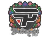 Sealed Graffiti | paiN Gaming | Budapest 2025 image