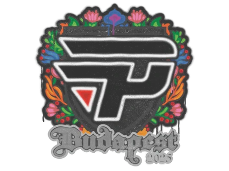 Sealed Graffiti | paiN Gaming | Budapest 2025 image