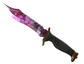 ★ Bowie Knife | Doppler Phase 2 image