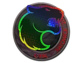Sticker | FURIA (Holo) | Katowice 2019 image