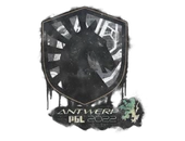 Sealed Graffiti | Team Liquid | Antwerp 2022 image