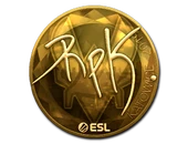 Sticker | RpK (Gold) | Katowice 2019 image
