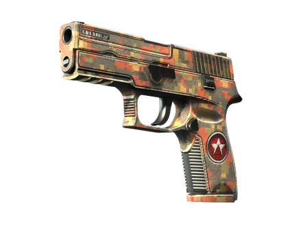 P250 | Red Rock image