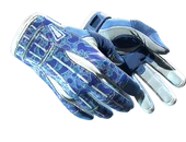 ★ Sport Gloves | Amphibious image