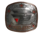 Sticker | paiN Gaming (Foil) | Austin 2025 image
