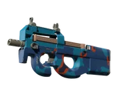 P90 | Blind Spot image