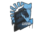Sealed Graffiti | Team Liquid | Boston 2018 image