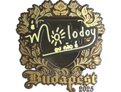 Sticker | molodoy (Gold) | Budapest 2025 image