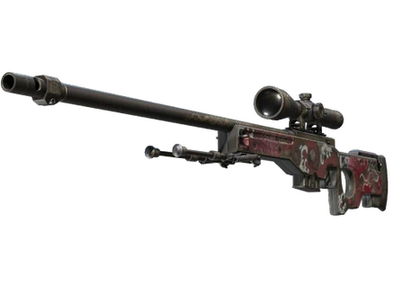 AWP | Duality image