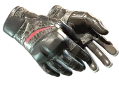 ★ Moto Gloves | Boom! image