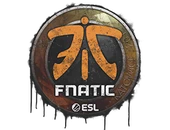 Sealed Graffiti | Fnatic | Katowice 2019 image