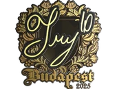 Sticker | TRY (Gold) | Budapest 2025 image