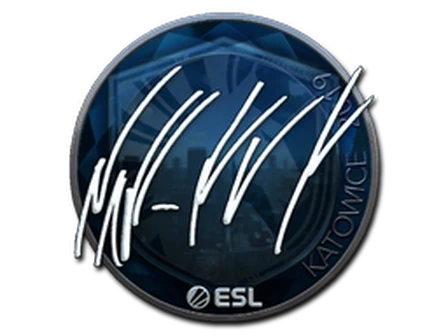 Sticker | NAF (Foil) | Katowice 2019 image