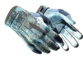 ★ Sport Gloves | Frosty image