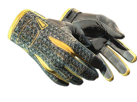 ★ Sport Gloves | Omega image