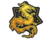 Patch | Wildfire image