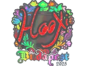 Sticker | HooXi (Holo) | Budapest 2025 image
