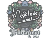 Sticker | molodoy | Budapest 2025 image