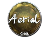 Sticker | Aerial (Foil) | Katowice 2019 image