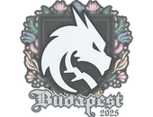 Sticker | Team Spirit | Budapest 2025 image