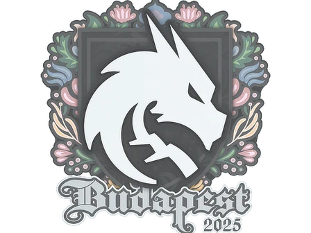 Sticker | Team Spirit | Budapest 2025 image