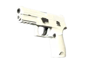 P250 | Whiteout image