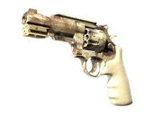R8 Revolver | Desert Brush image