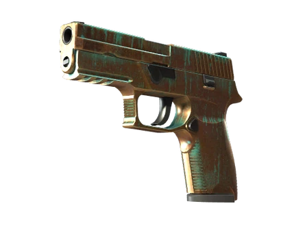 P250 | Verdigris image