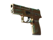 P250 | Verdigris image