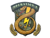 Sticker | Badge of Service image