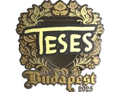 Sticker | TeSeS (Gold) | Budapest 2025 image