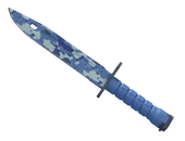 ★ Bayonet | Bright Water image