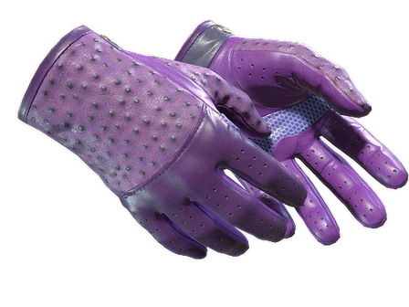 ★ Driver Gloves | Plum Quill image