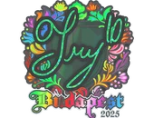 Sticker | TRY (Holo) | Budapest 2025 image