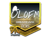 Sticker | olofmeister (Foil) | Cluj-Napoca 2015 image