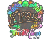 Sticker | Cypher (Holo) | Budapest 2025 image