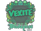 Sticker | vexite | Budapest 2025 image
