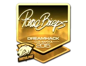 Sticker | pashaBiceps (Gold) | Cluj-Napoca 2015 image