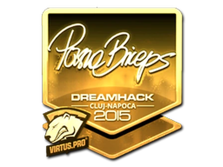 Sticker | pashaBiceps (Gold) | Cluj-Napoca 2015 image