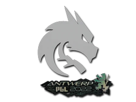 Sticker | Team Spirit | Antwerp 2022 image