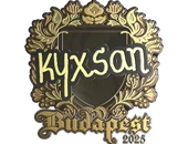 Sticker | kyxsan (Gold) | Budapest 2025 image