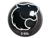 Sticker | FURIA | Katowice 2019 image