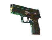 P250 | Visions image