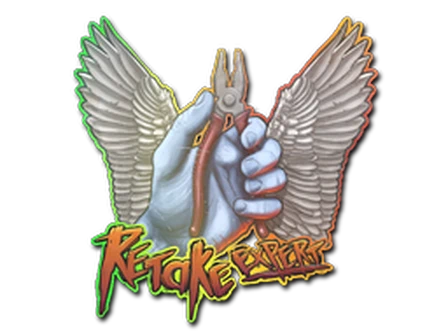 Sticker | Retake Expert (Holo) image