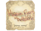 Sticker | hallzerk | Austin 2025 image