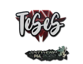 Sticker | TeSeS | Antwerp 2022 image